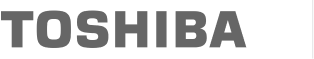 Toshiba logo gray